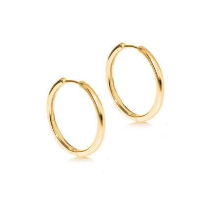 Gold Plated and Silver Huggie Hoop Earring - 25mm