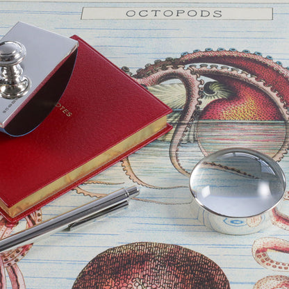 Silver Magnifying Paperweight