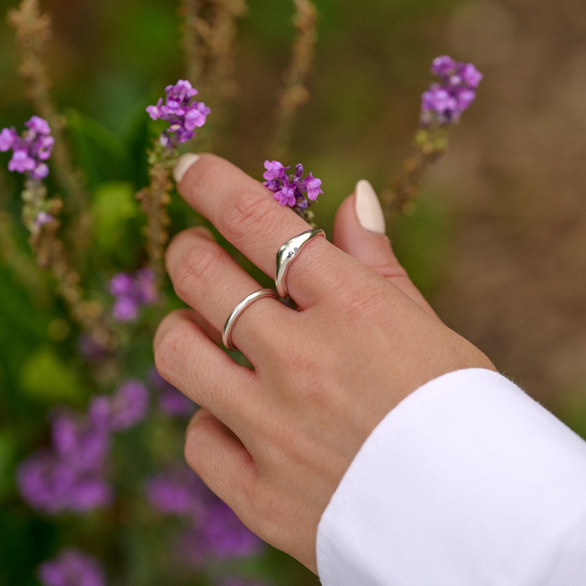 Hand with silver rings holding a small purple flower against a natural background