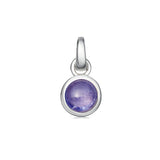 Sterling Silver Birthstone Charm