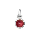 Sterling Silver Birthstone Charm