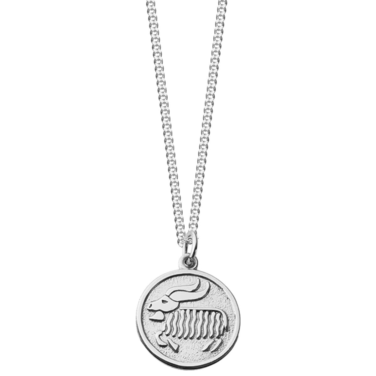 Capricorn Zodiac Pendant - Sterling Silver