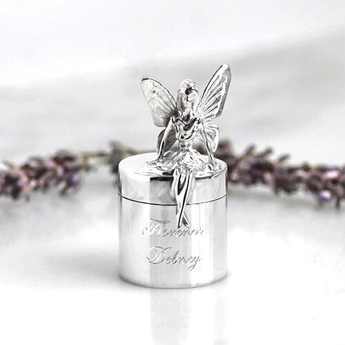 Silver Fairy Toothbox
