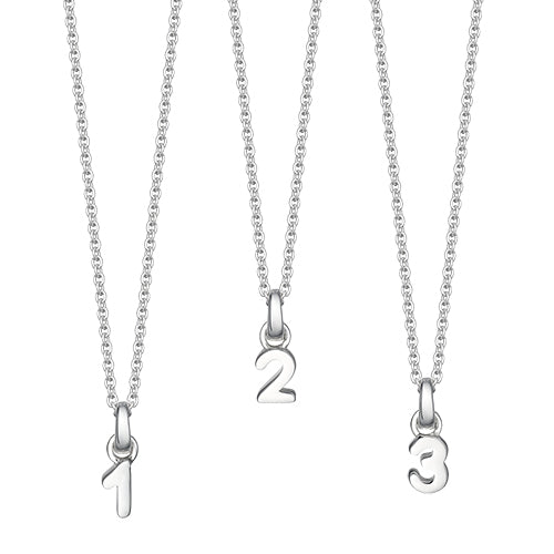 Silver Number Necklace - hersey-and-son