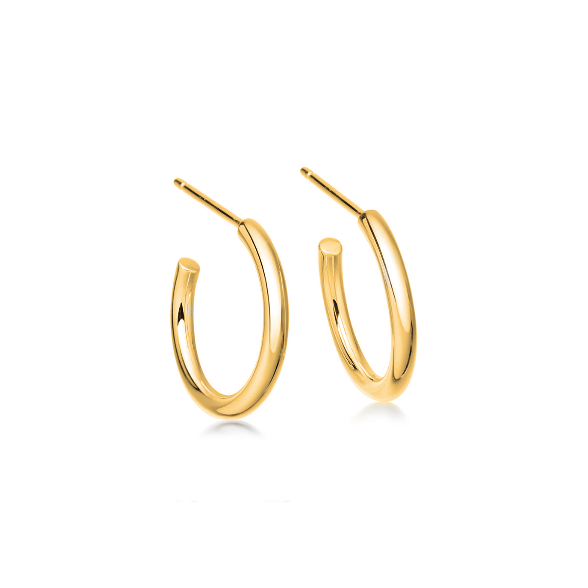 Small Gold Hoop Earrings 