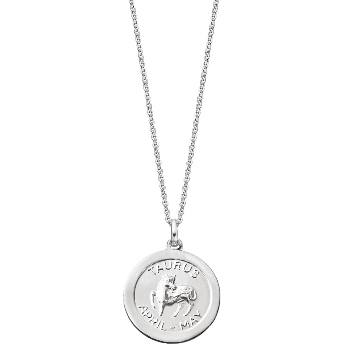 Sterling silver zodiac shop pendant