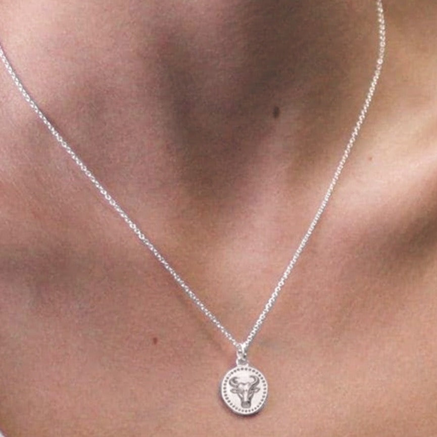 Men's Taurus Necklace – Aquani